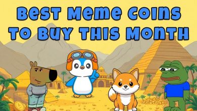 4-best-meme-coins-to-join-in-january-2025:-rising-stars-of-the-crypto-world