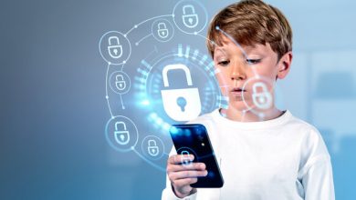 navigating-the-digital-wilderness:-essential-internet-safety-practices-for-2025