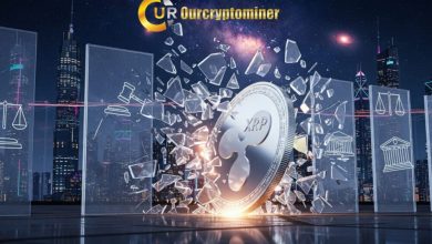 xrp-price-fluctuation:-xrp-holders-choose-ourcryptominer-contract-to-earn-$17,500-in-stable-yield