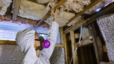 how-professional-mold-testing-keeps-your-home-safe-and-healthy
