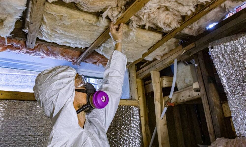 how-professional-mold-testing-keeps-your-home-safe-and-healthy